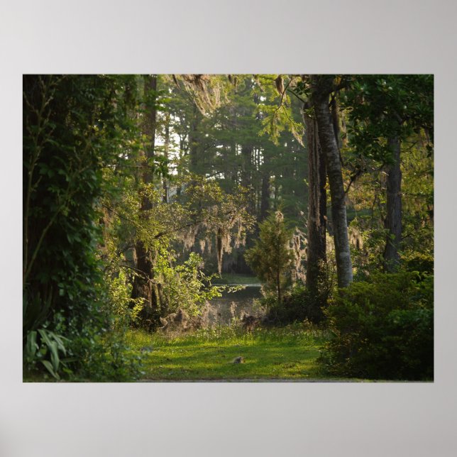 Poster Natures beauté (Devant)