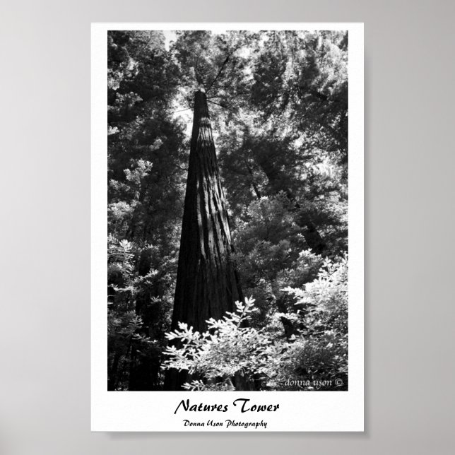 Poster Natures Tower (Front)
