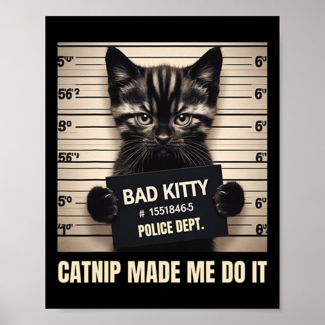 Poster Naughty Kitty Prison Photo Catnip M'a fait faire C (Devant)