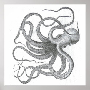 Poster Nautical steampunk octopus vintage kraken drawing
