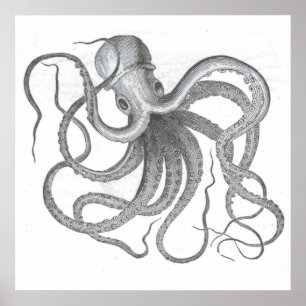 Poster Nautical steampunk octopus vintage kraken drawing