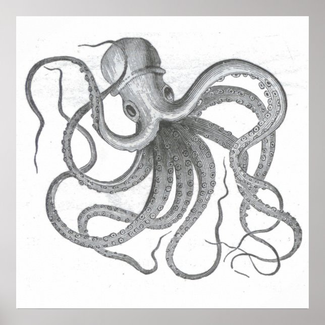 Poster Nautical steampunk octopus vintage kraken drawing (Devant)