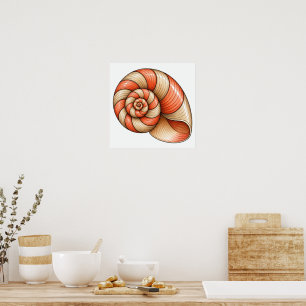 Poster Nautile Corail