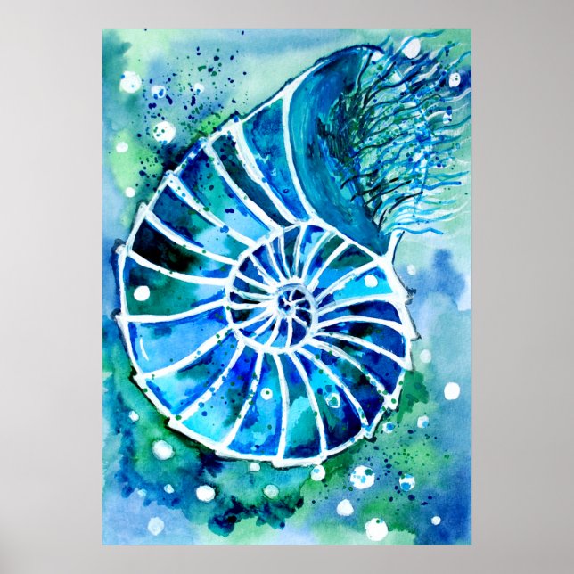 Poster Nautile Turquoise (Devant)