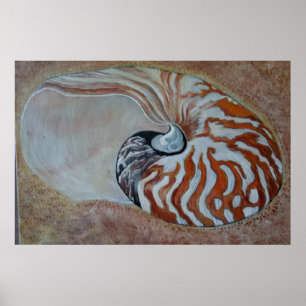 Poster nautilus