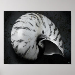 Poster Nautilus BW