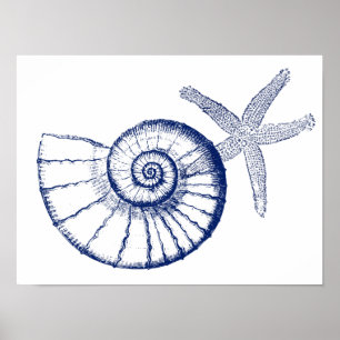 Poster Nautilus Coquille et Starfish Marine Life Personna
