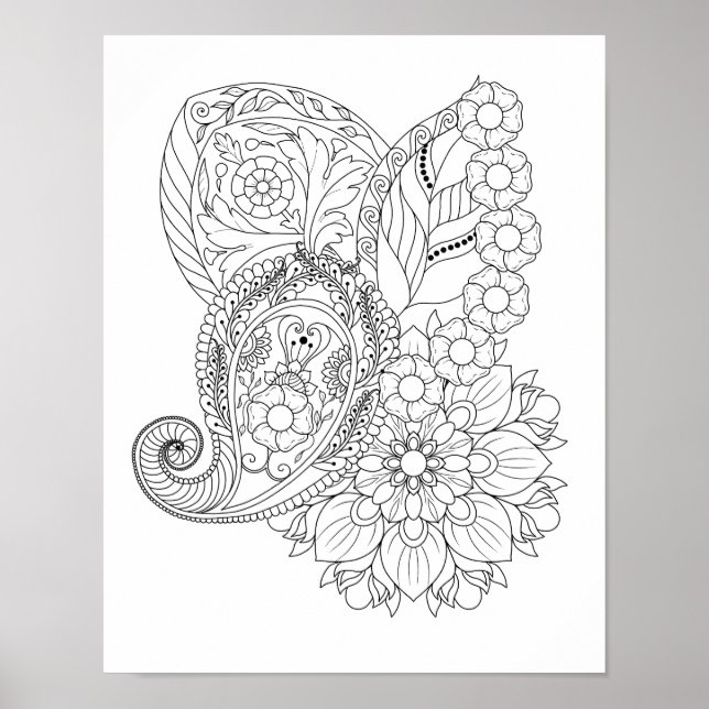 Poster Nautilus Fleurs Spirales Feuilles Mandala Colorati (Devant)