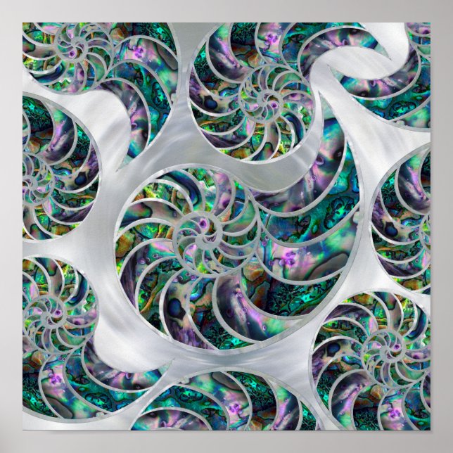 Poster Nautilus Shell Abalone et Pearl (Devant)
