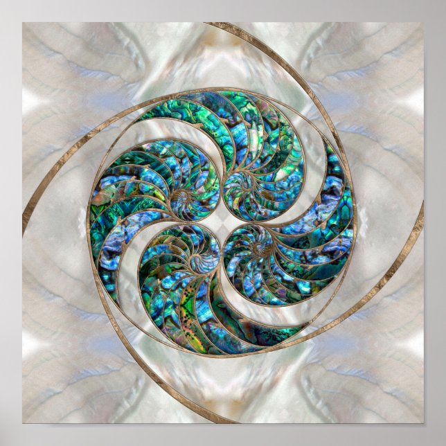 Poster Nautilus Shell - Abalone et Pearl (Devant)