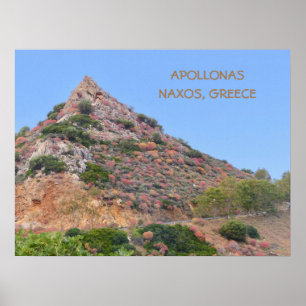 Poster Naxos, Grèce/ Végétation Colorée Au Bord De La Mon