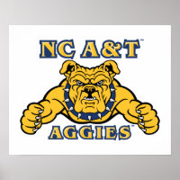 NC A&T Agences | Aggie Bulldog