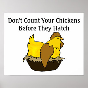 Poster Ne comptez pas vos poulets avant qu'ils n'attrapen