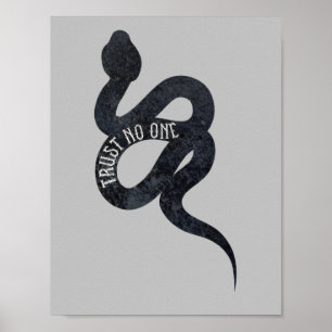 Poster Ne croyez en personne au serpent du Serpent