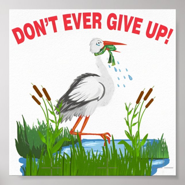 Poster ne jamais abandonner l'affiche cadeau grenouille (Devant)