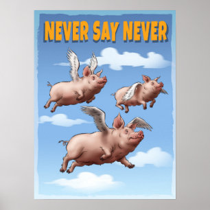 Poster Ne jamais dire jamais - Chiens de vol fantasques