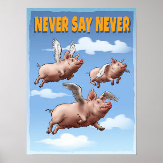 Poster Ne jamais dire jamais - Chiens de vol fantasques