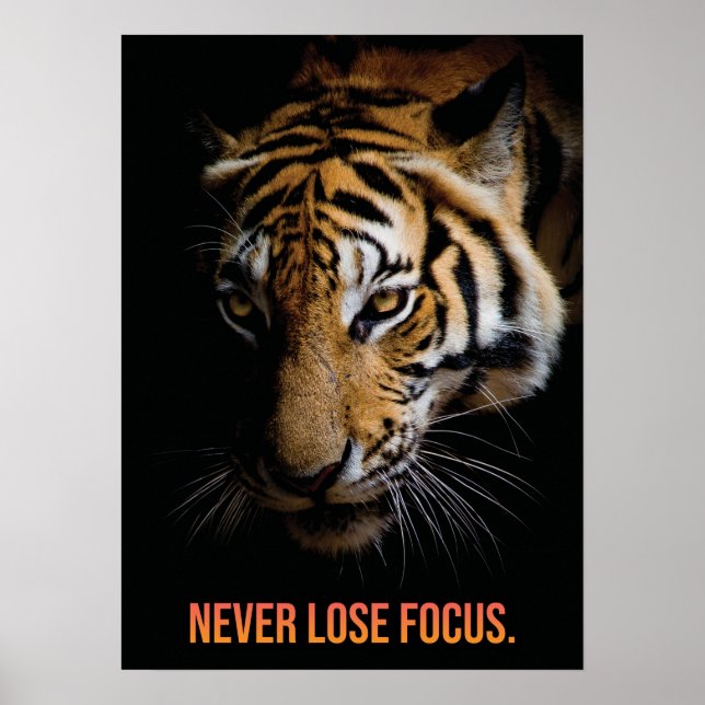 Poster Ne jamais perdre de vue - tigre, succès, entrepren (Devant)