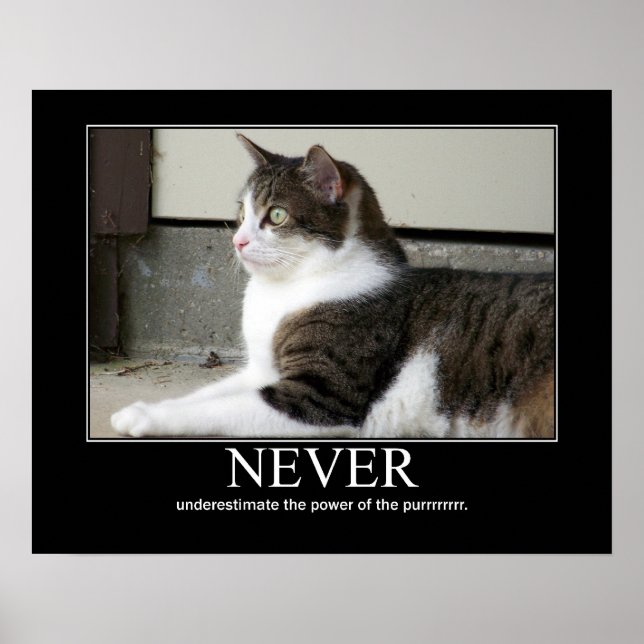 Poster Ne jamais sous-estimer l'oeuvre de chats (Devant)