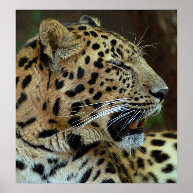 Poster Ne me fermez pas les yeux... (Devant)