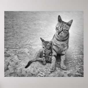 Poster Ne me laissez jamais seul