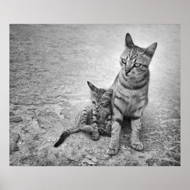 Poster Ne me laissez jamais seul (Devant)