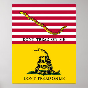 Poster "Ne me touchez pas" - Drapeau Jack & Gadsden de la