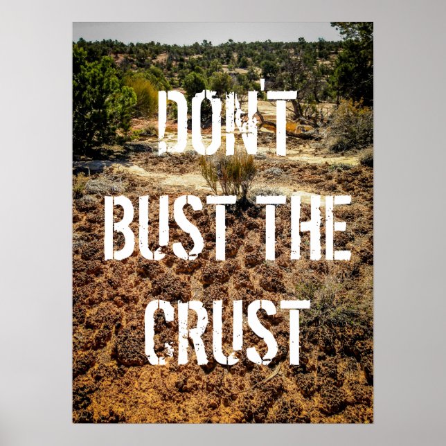 Poster Ne pas buter l'affiche de sol croûte-cristptobioti (Devant)