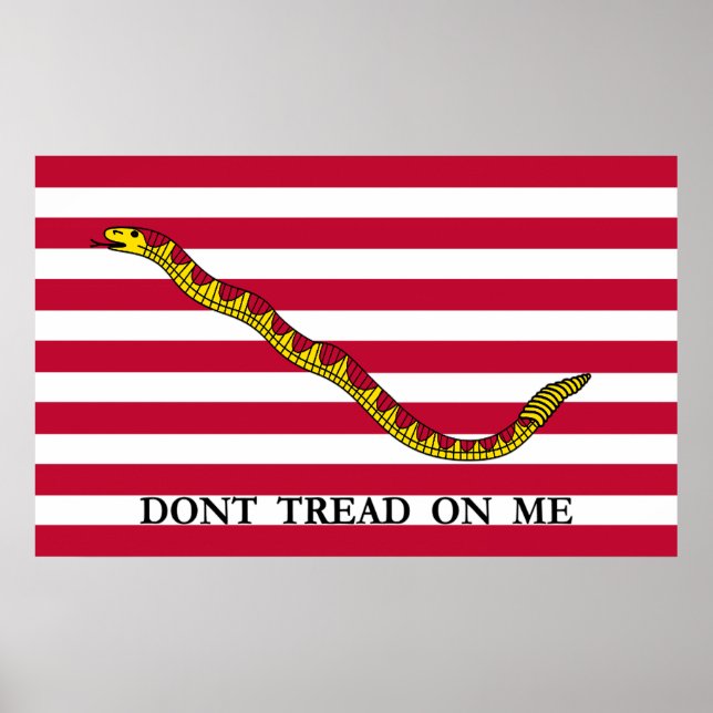 Poster Ne pas me rouler - drapeau Jack de la Marine (Devant)