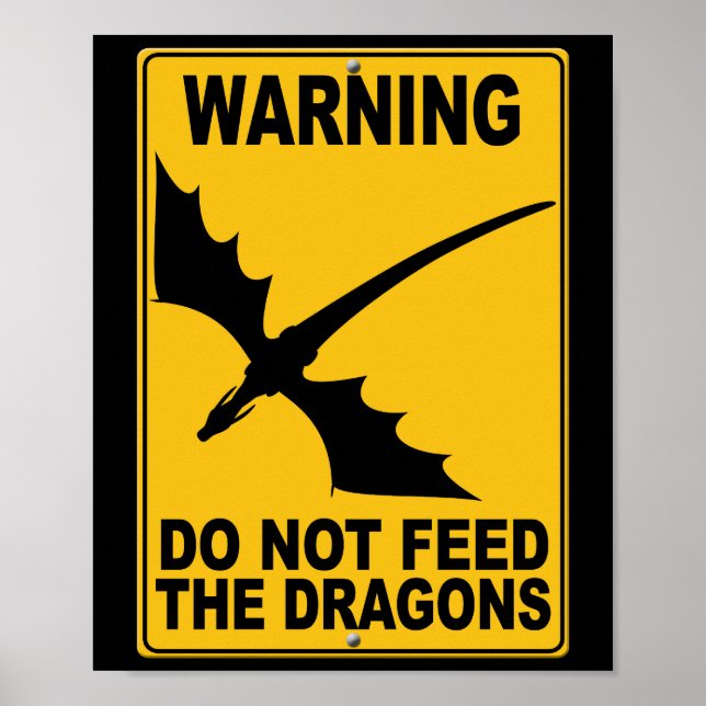 Poster Ne pas nourrir les dragons (Devant)