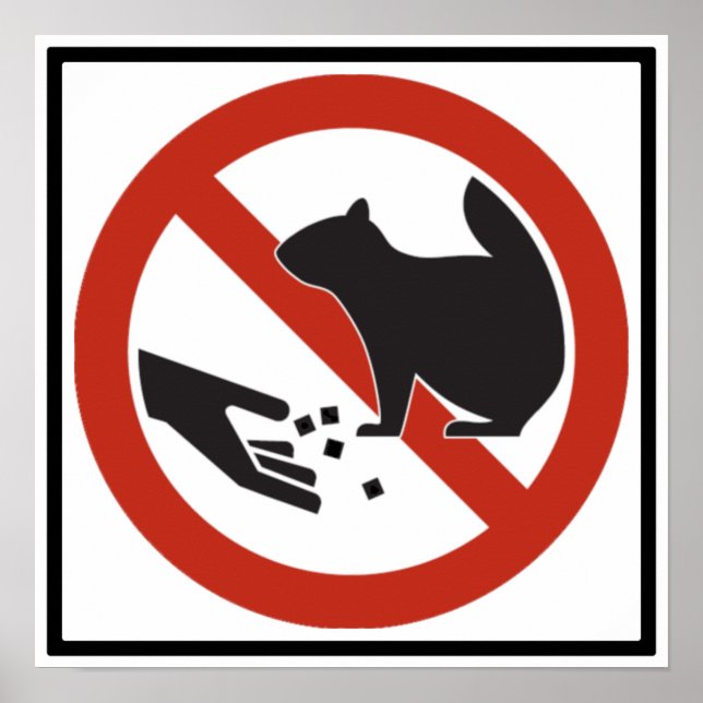 Poster Ne pas nourrir les écureuils (Devant)