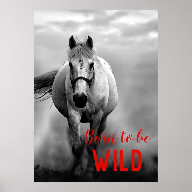 Poster Né pour être Wild Black & White Running Horse (Devant)