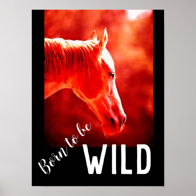 Poster Né pour être Wild Gros plan Cheval (Devant)