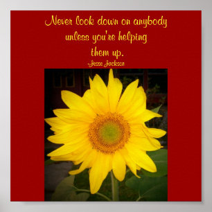 Poster Ne regardez jamais en bas...Citer Poster-Jesse Jac