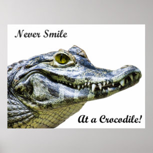 Poster Ne souriez jamais à un crocodile !