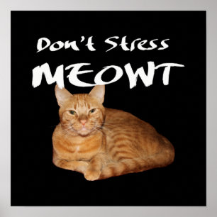 Poster Ne stress pas Meowt - Orange Chat me stress Out