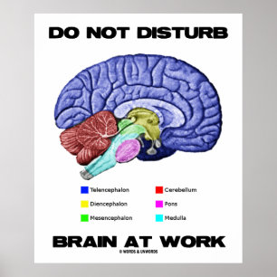 Poster Ne touchez pas au cerveau au travail (l'humour