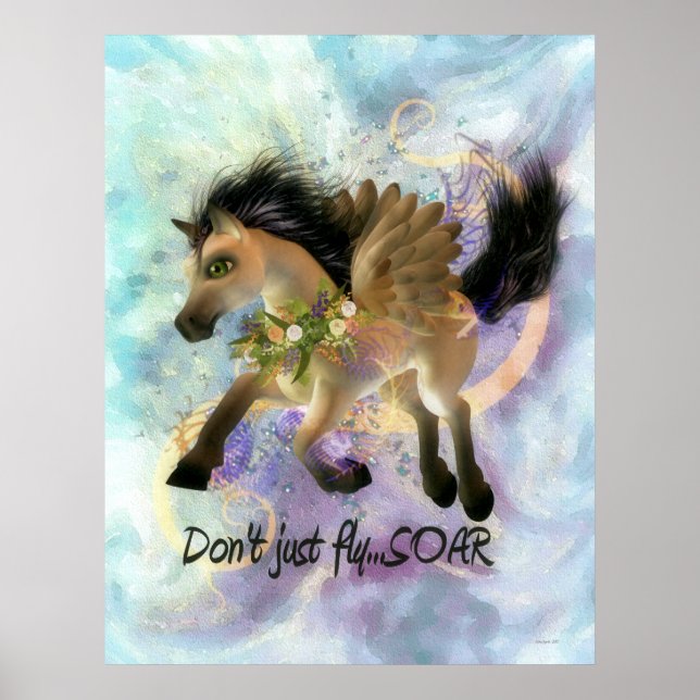 Poster Ne volez pas juste SOAR (Devant)