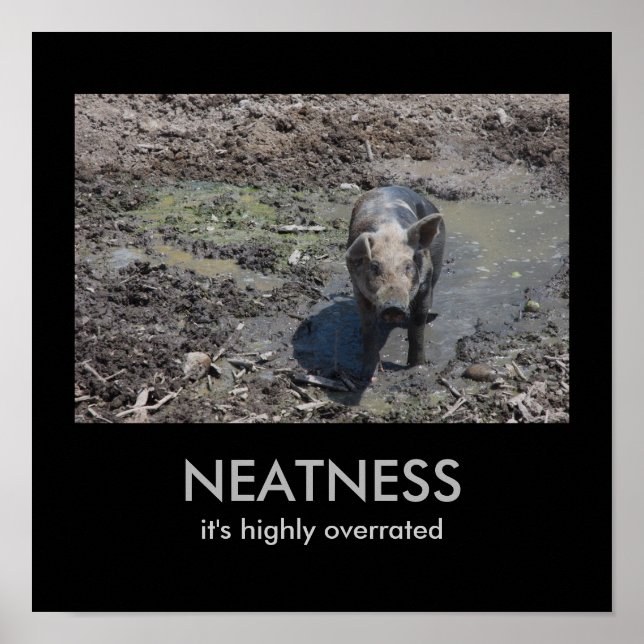 Poster NEATNESS : c'est très surfait (Devant)