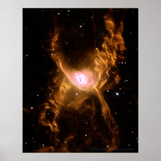 Poster Nebula Spider Rouge 16x20 (16x20)
