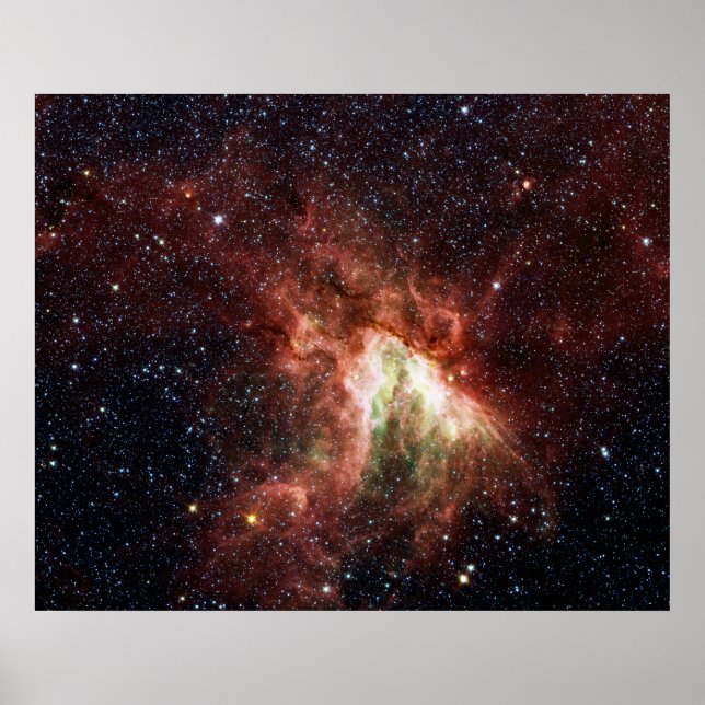 Poster Nebula Swan (Devant)
