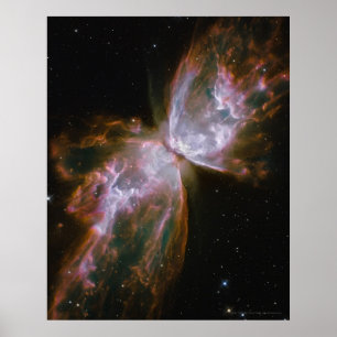 Poster Nébuleuse du papillon 16x20 (12x16)