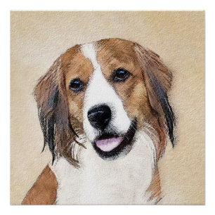 Poster Nederlandse Kooikerhondje Peinture - Chien Art