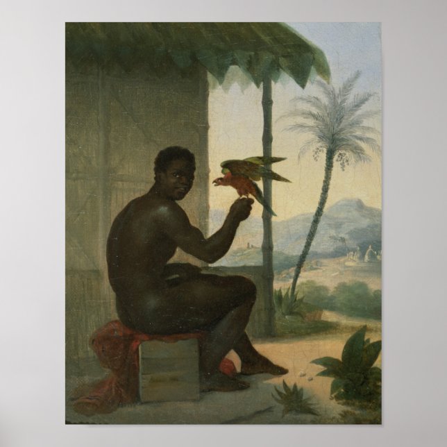 Poster Nègre brésilien avec un oiseau tropical (Devant)