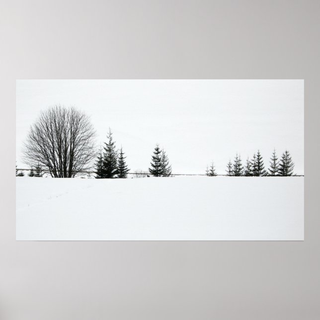 Poster Neige (Devant)