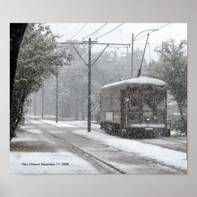Poster Neige de la Nouvelle-Orléans (Devant)