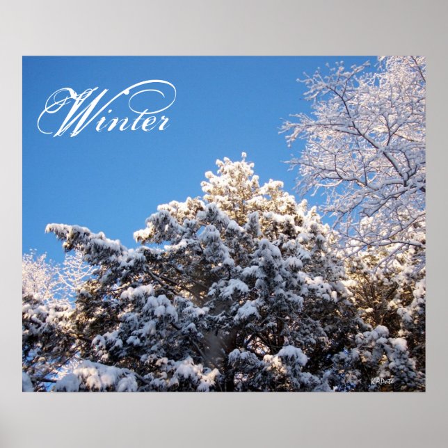 Poster Neige d'hiver sur les arbres (Devant)