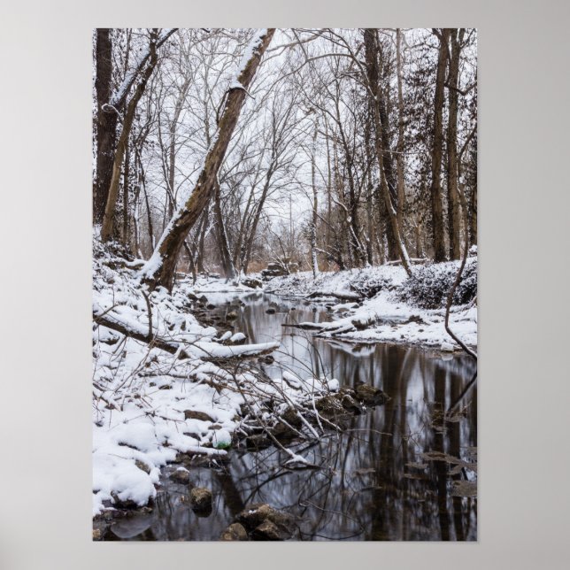 Poster Neige du fleuve (Devant)