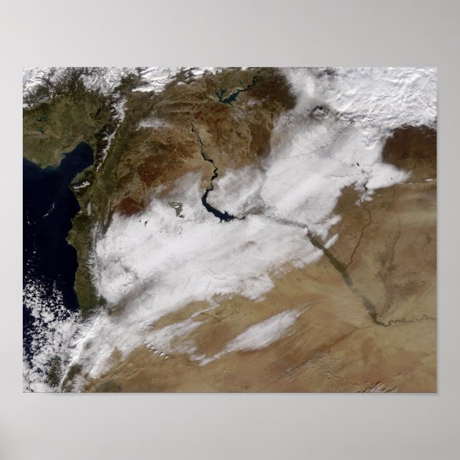 Poster Neige en Syrie (Devant)