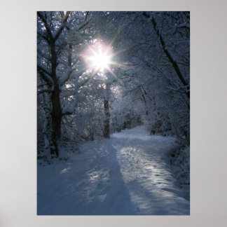 Poster Neige et lumière
